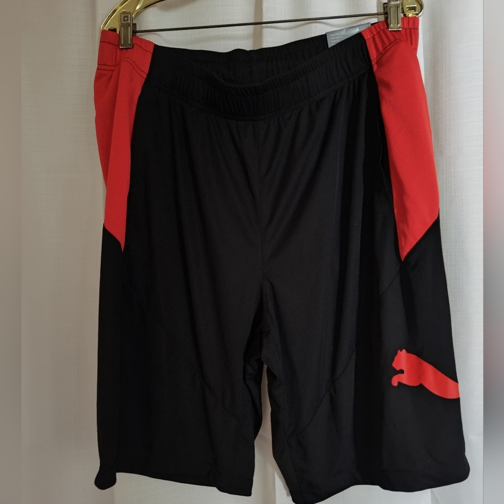 Puma Cat Shorts
